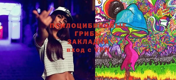 Альфа ПВП Михайлов